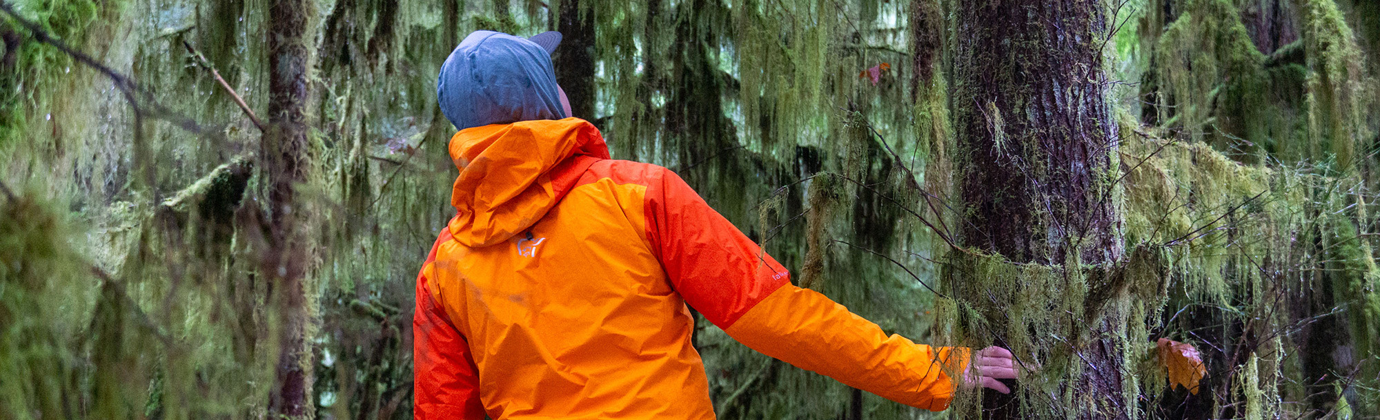 Clothing Sale Store 1 Clothing Sale Store -Clothing Sale Store 1