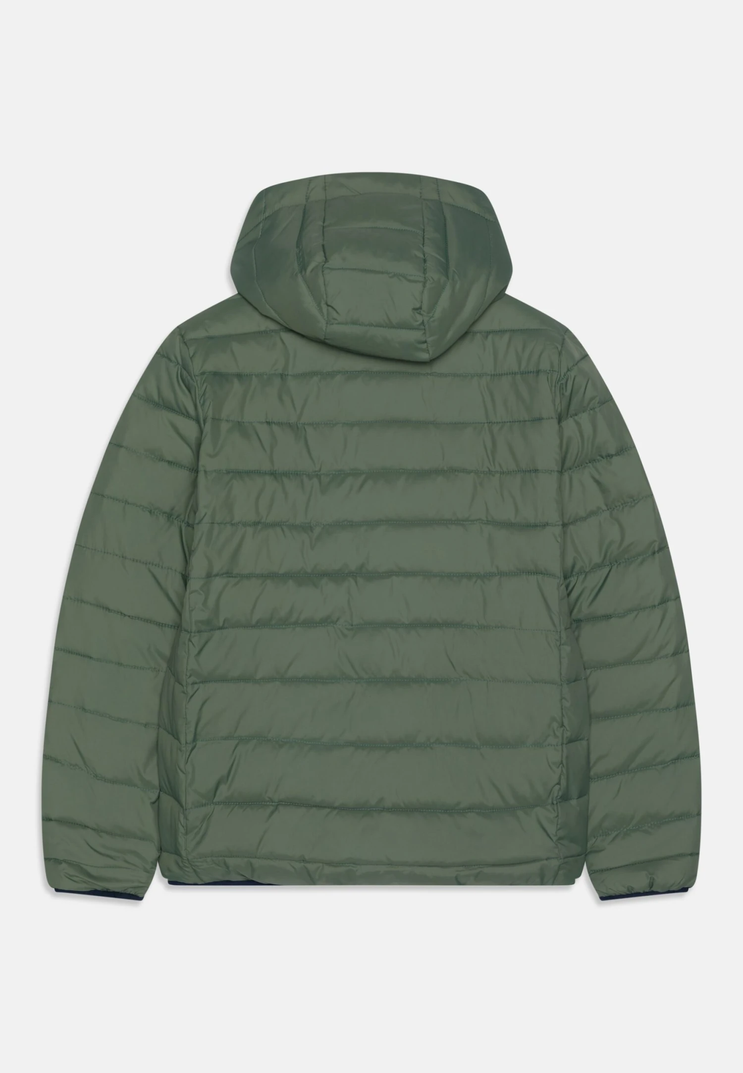 Quiksilver Scaly Youth - Winter Jacket - Laurel Wreath 2 Quiksilver Scaly Youth - Winter Jacket - Laurel Wreath - Image 2