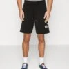 Hollister Co. Tech Logo - Shorts - Black