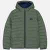 Quiksilver Scaly Youth - Winter Jacket - Laurel Wreath