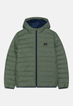 Quiksilver Scaly Youth - Winter Jacket - Laurel Wreath